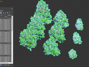 birch Model 3D