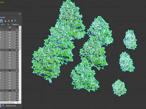 birch 3D Model