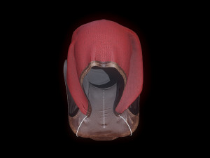 dress 3D Модель