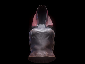 dress 3D Модель