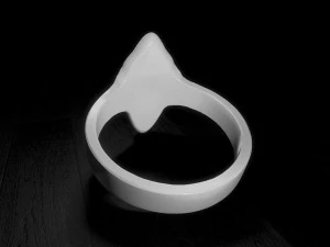 ring 3D Print Model