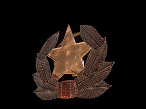 cockade Modelo 3D