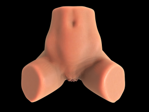 Female body 7 3D 打印模型