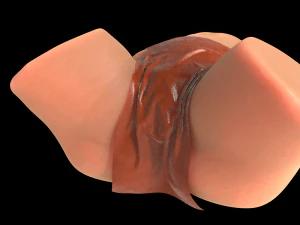 Female body 7 3D Print Model