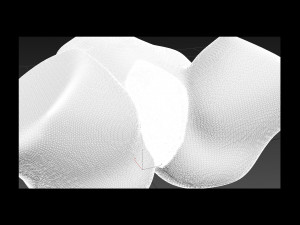 Female body 7 3D 打印模型