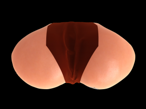 Femalemini Modello di stampa 3D