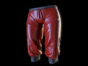 breeches Modèle 3D