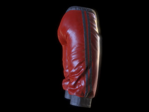 breeches Modèle 3D