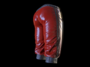 breeches Modèle 3D
