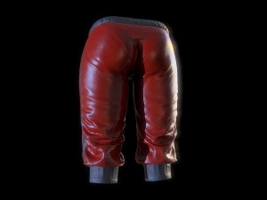 breeches Modèle 3D