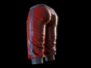 breeches Modèle 3D