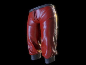 breeches Modèle 3D