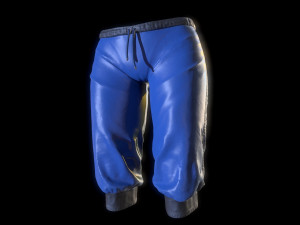 breeches Modèle 3D
