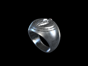 the ring power Model do druku 3D