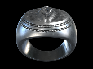 the ring power Model do druku 3D