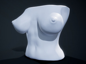 flower vase 3D 打印模型