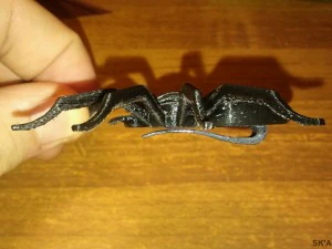 Підвіска Orb-weaver павук підвіска-брошка 3D Принт Модель