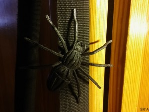 Orb-weaver spider pendant pendant-brooch 3D Принт Модель