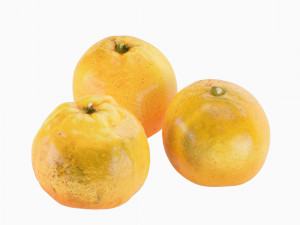 Decorative set Dish with tangerines 3Dモデル