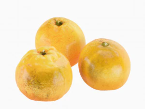 Decorative set Dish with tangerines 3D Model