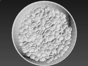 chocovase 3D Model