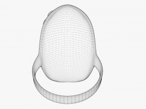 silver ring Modelo 3D