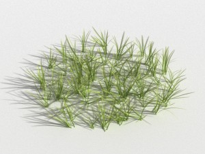 clover collection r-asset 3D Model