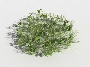 clover collection r-asset 3D Model