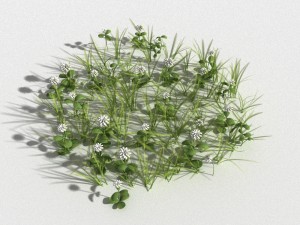clover collection r-asset 3D Model