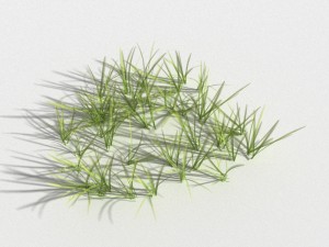 clover collection r-asset 3D Model