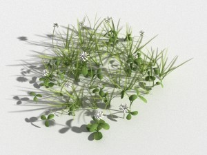 clover collection r-asset 3D Model