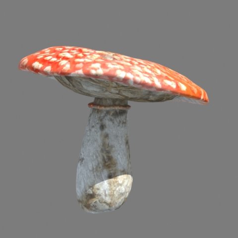 mushrooms collection toadstool r-asset Modelo 3D .c4d .max .obj .3ds .fbx .stl .blend 