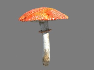 mushrooms collection toadstool r-asset Modelo 3D