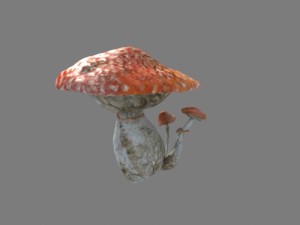 mushrooms collection toadstool r-asset Modelo 3D