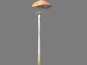 mushrooms collection toadstool r-asset Modelo 3D