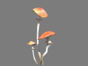 mushrooms collection toadstool r-asset Modelo 3D