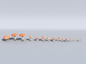 mushrooms collection toadstool r-asset Modelo 3D
