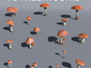 mushrooms collection toadstool r-asset Modelo 3D