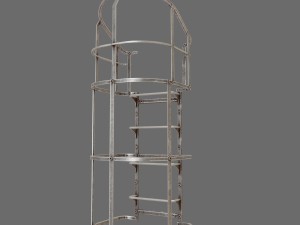 ladder system Modello 3D