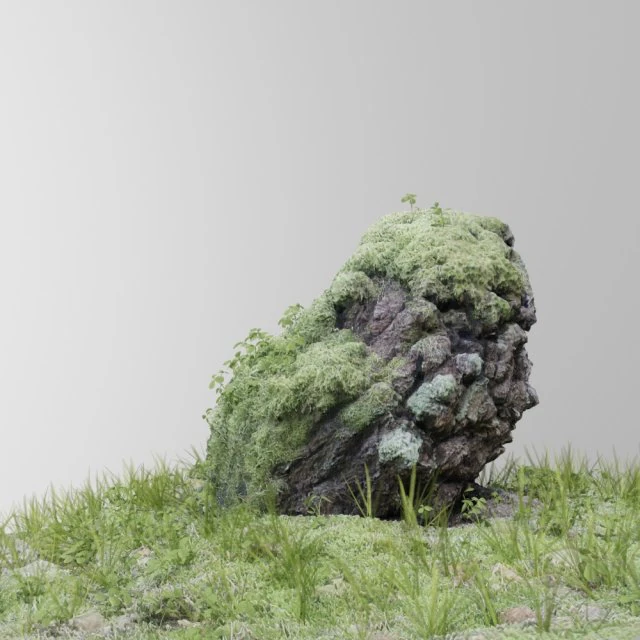 3d scanned tree stump and gras 3D Model .c4d .max .obj .3ds .fbx .stl .blend