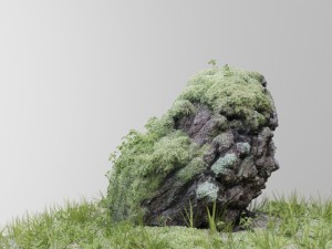 3d scanned tree stump and gras 3D-Modell