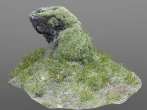 3d scanned tree stump and gras 3D Model