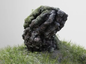 3d scanned tree stump and gras 3D Model