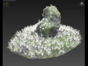 3d scanned tree stump and gras 3D Model