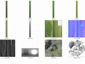 3d scanned tree stump and gras 3D Model