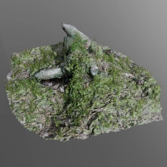 3d scanned tree stump 02 3D Model .c4d .max .obj .3ds .fbx .stl .blend