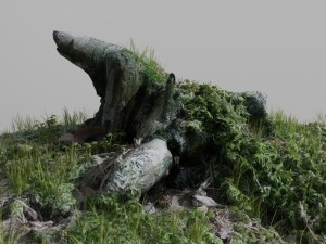 3d scanned tree stump 02 3D मॉडल