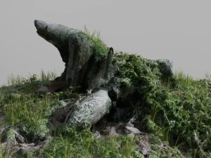 3d scanned tree stump 02 3D Model