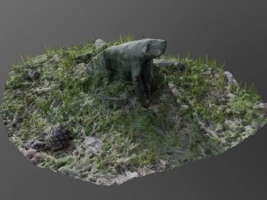 3d scanned tree stump 02 3D Model