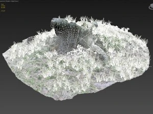 3d scanned tree stump 02 3D Model